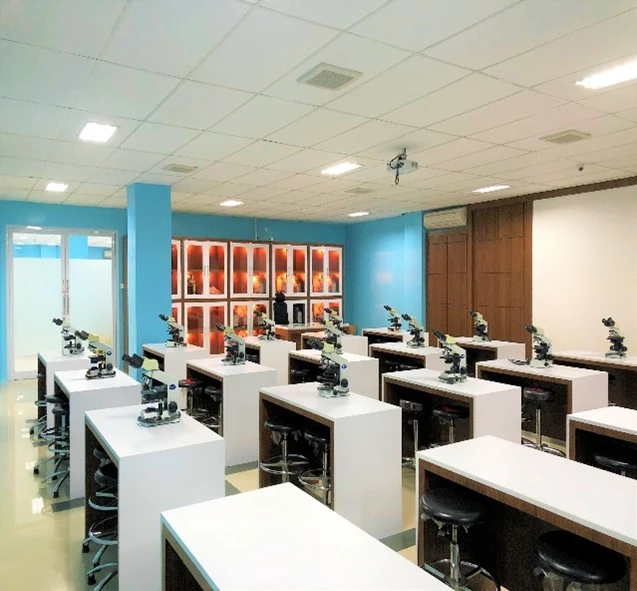 Universitas Warmadewa